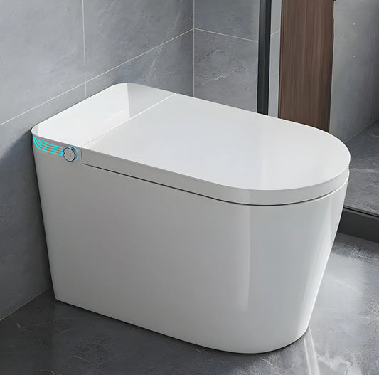 Smart Toilet With Built In Bidet Voice Control Heated Seat